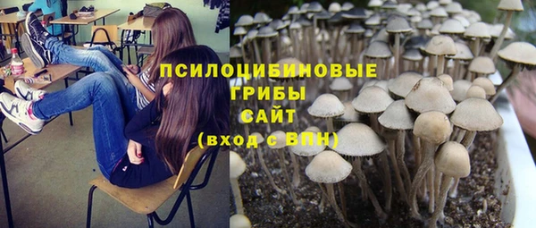 тгк Михайловка