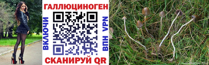KRAKEN ссылка  Тамбов  Галлюциногенные грибы мухоморы 